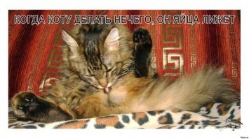 Если очень много свободного времени