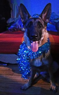 а мы уже новый год репетируем )