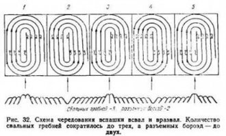 Самые смешные и забавные картинки