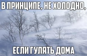 Дальше иди, тут хлеба нет! Как выглядит зимний поход в магазин в Южно-Сахалинске