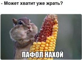 Прикольные и смешные картинки