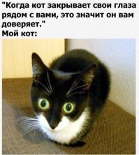Прикольные и смешные картинки