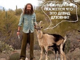 Прикольные и смешные картинки