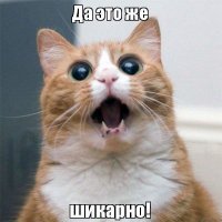 Месть кота шикарна!!!
