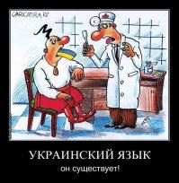 Прощай португальский, здравствуй бразильский: интересные факты о языках