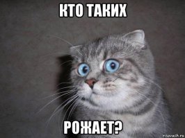 Новое правило
