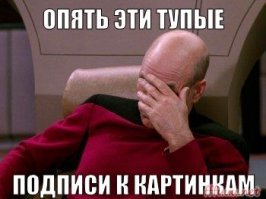 "Покатай меня, большая черепаха!": 20 смешных фото хитрых животных