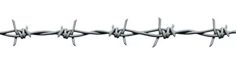 Фотоподборка за 27.11.2018