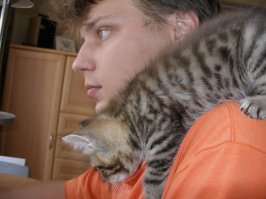 Японец показал, как он защищает компьютер от своей кошки