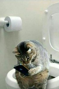 А мне насрать. У меня новый айфон...