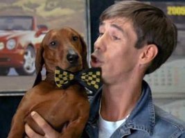 Тест: Узнаете ли вы собак из известных фильмов!