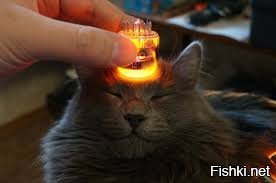 "Ищу жену, налево не хожу, в танки наигрался"