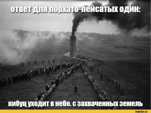 Открытое письмо Путину из Израиля