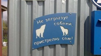 Осторожно, собака!