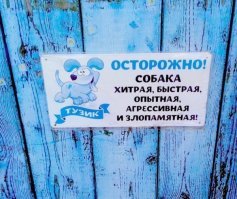 Осторожно, собака!