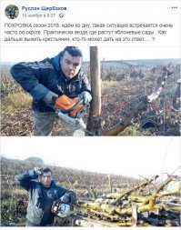 красивая картинка, но это всего лишь картинка на праздник... будни совсем не так красочны... 
насчет дешевых фруктов, я бы поспорил)) местные фермеры свои яблоки выбрасывают у обочины дорог тоннами, зато магазины завалены польскими по 0.30$ за кг