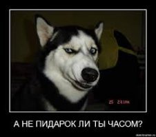 нах тебе мужик, чтоб ебстися? 3,14дор, что ли?