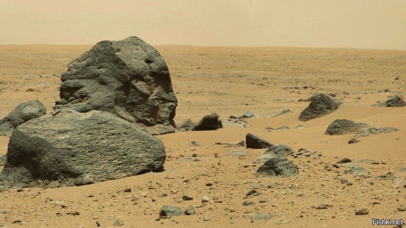 Опубликованы первые фотографии с поверхности Марса