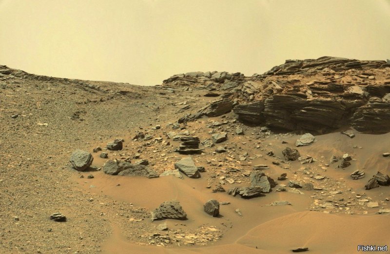Опубликованы первые фотографии с поверхности Марса