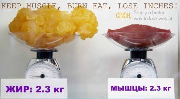 А Вы об ЭТОМ не знали?