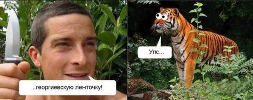 Помните этот старый модный мем? Появился новый и набирает свою силу