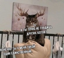 Прикольные и смешные картинки