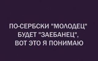 Прикольные и смешные картинки