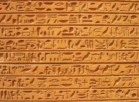 Прикольные и смешные картинки