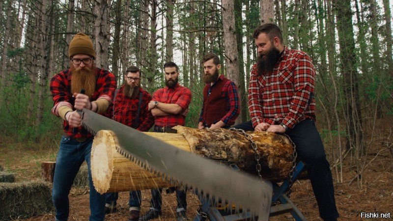 А вот и они , любители симпатичных бревен: