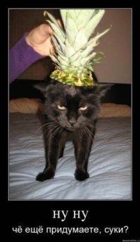 Смешные комментарии из соц.сетей