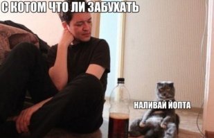 Смешные комментарии из соц.сетей