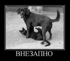 Смешные комментарии из соц.сетей