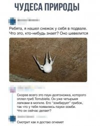 Картинки с надписями для настроения