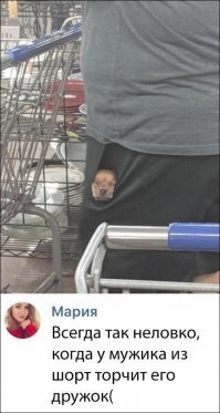 Картинки с надписями для настроения