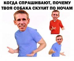 Прикольные картинки