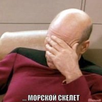 В Новой Зеландии нашли страшный морской скелет