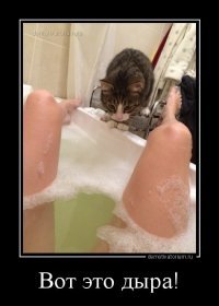 Пользователи сети описали свой первый секс с помощью мема, и это было круто