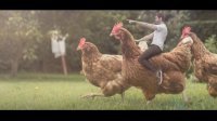 Фигня.
Я тут видел, каких один мужик кур вырастил - вот это действительно гиганты!