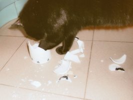 Просто нон-стоп у нашего котика :)