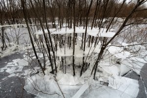 В Латвии.