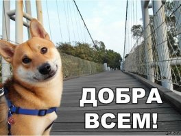 Ещё одна дочка появилась на старости лет