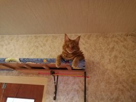 Мне сверху видно всё!
Ты так и знай! ;)