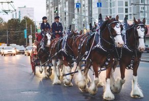 Прикольные и смешные картинки