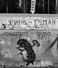 Прикольные и смешные картинки