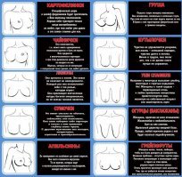 Плохих сисек не бывает — была бы хозяйка хорошая