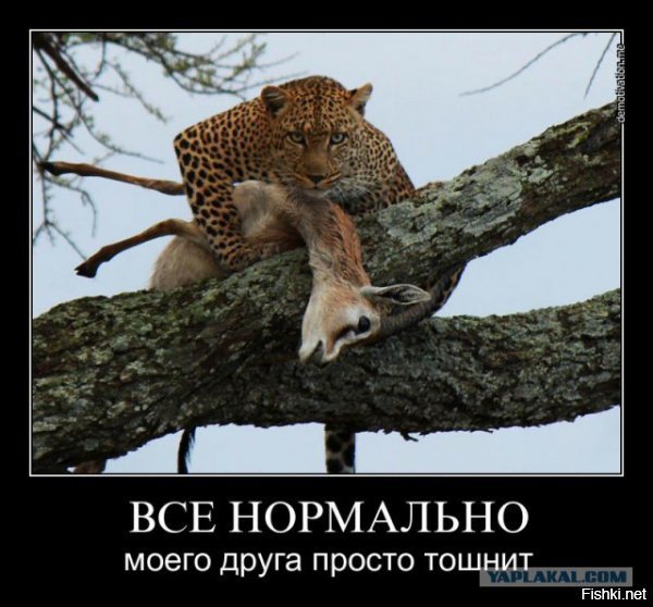 единственное, что приходит на ум (ну единственное логическое объяснение) это пожрать, чтоб едой ни с кем не делиться
