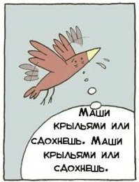 Гифки дня