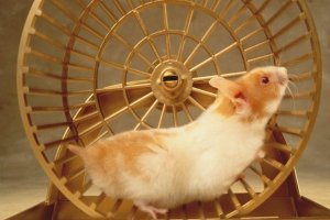 конечно заперт, а то как бы оно крутилось?