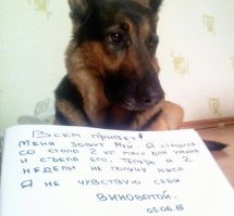Прикольные и смешные картинки