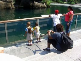 Есть отличное решение :